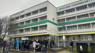 Cudzinecká polícia