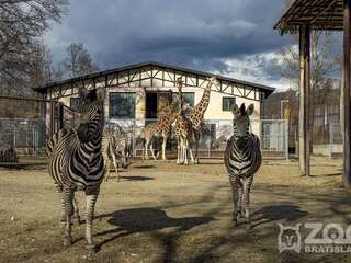zoo Bratislava