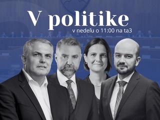 v politike