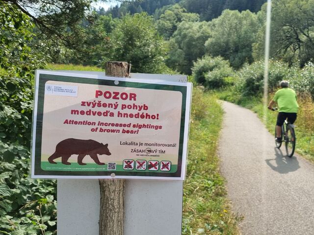 Pri Zlatých Moravciach videli medveďa. Ostaňte radšej doma, varujú občanov obce v okolí
