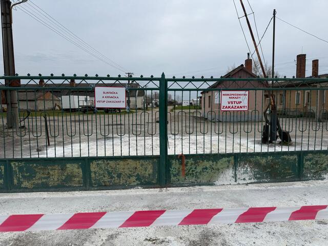 Dobytok na farmách v Medveďove a Ňárade je už zaočkovaný. V Bake pokračujú s usmrcovaním zvierat
