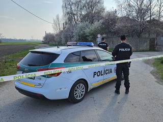 Polícia, slintačka, Malý Lúč