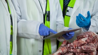 bitúnok mäso kontrola 