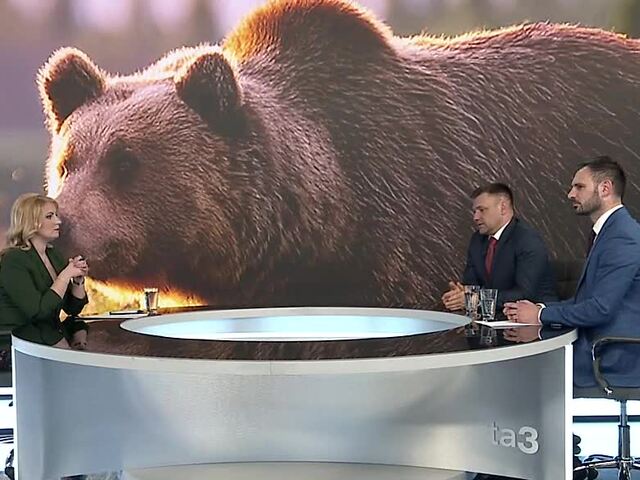 Aktuálny stav je trápenie aj pre samotné medvede, tvrdí Taraba. Krátky kritizuje: Vnadíme si ich ako atrakciu