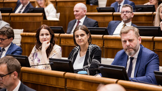 parlament nr sr nrsr Kolíková Bajo Holečková Krúpa 