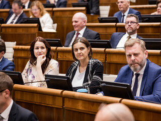 parlament nr sr nrsr Kolíková Bajo Holečková Krúpa 