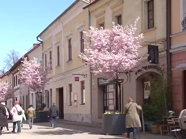 Zelená inovácia v Banskej Bystrici. Mobilné kvetináče pomáhajú v boji proti prehrievaniu mesta