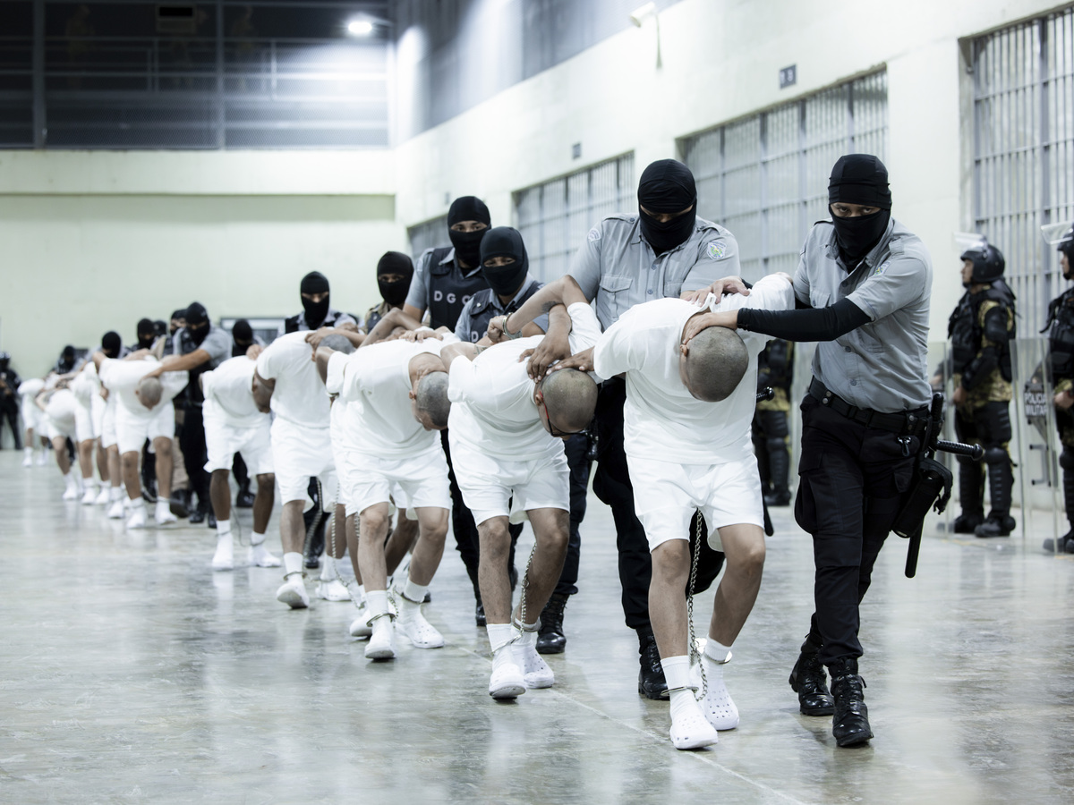 Deportation_Battle257188.jpg