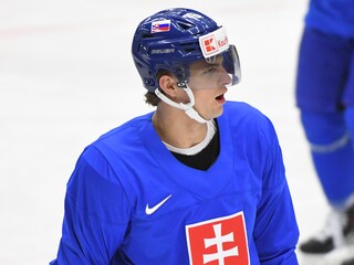Martin Pospíšil