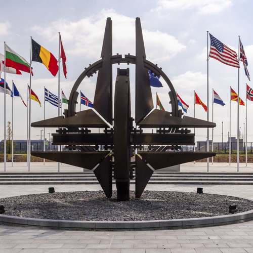 Koalícia ochotných, NATO