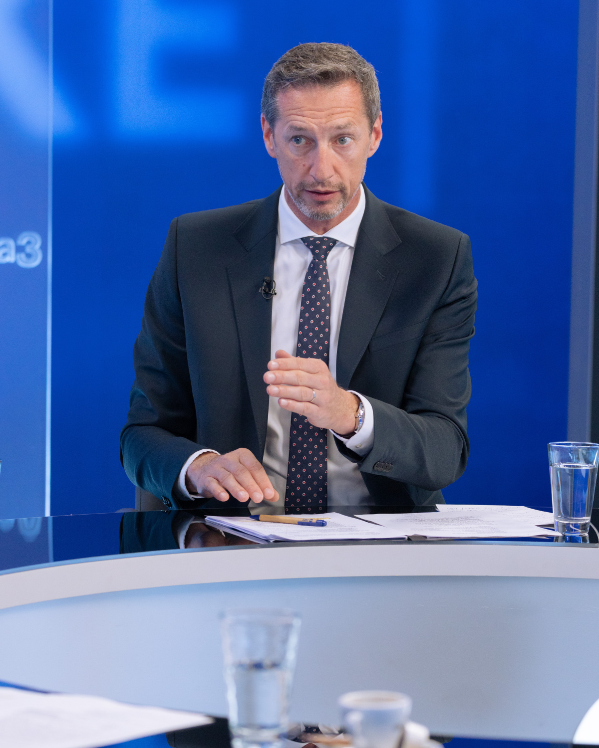 Majerský V politike