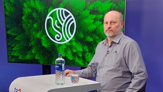 Klíma a lesy: Listy padajú už v lete, smrek sa stráca, lykožrút má viac generácií ročne. Je slovenský les v dobrom stave?