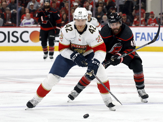 Panthers_Hurricanes_Hockey385856.jpg