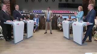 Migaľovci verzus hnutie Slovensko