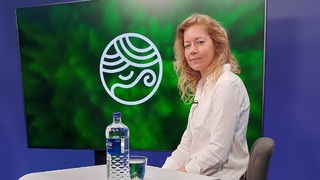 Tichá hrozba pre včely, ľudí aj celý ekosystém: Môže byť kontakt so sršňom ázijským smrteľný? 