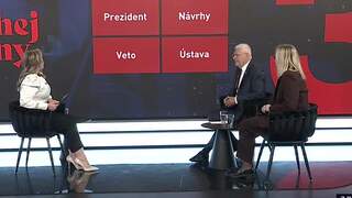 Prezident, návrhy, veto, ústava