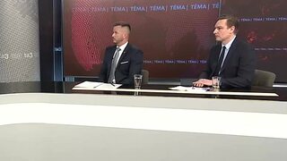 Dianie v parlamente, misie europoslancov