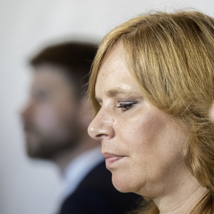 šimečka remišova