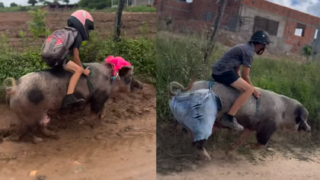 prasa jazda do školy