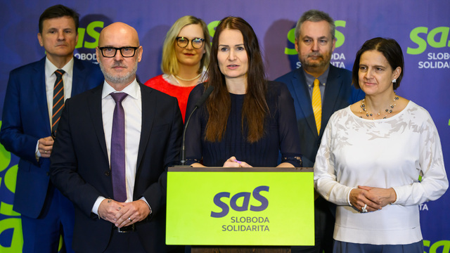 sas holečková grohling hlina kolikova