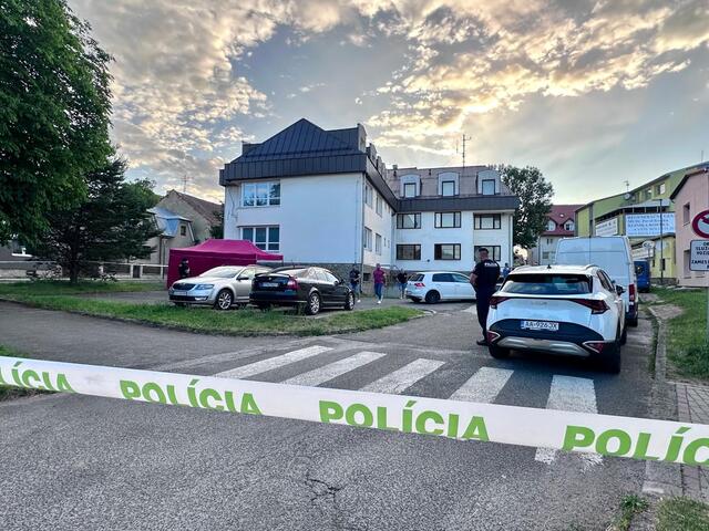 Tragédia v Spišskej Belej: Polícia obvinila z vraždy ženu, ktorá v lese dobodala svoje dieťa