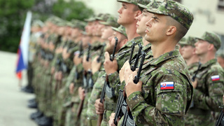 Výcvik vojakov a energopomoc v jednom zákone. Poslanci majú na stole ďalší nesúvisiaci prílepok