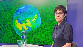 Doprava, odpad, zeleň, staré či nové budovy? Čo trápi Bratislavu najviac a do ktorého roku jej prvý Klimatický plán zníži emisie o 55 percent?