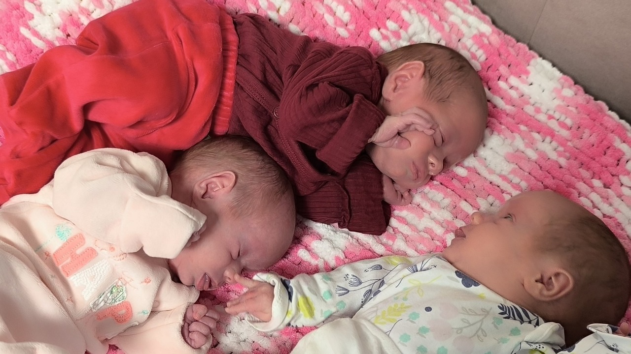 jednovaječné trojčatá