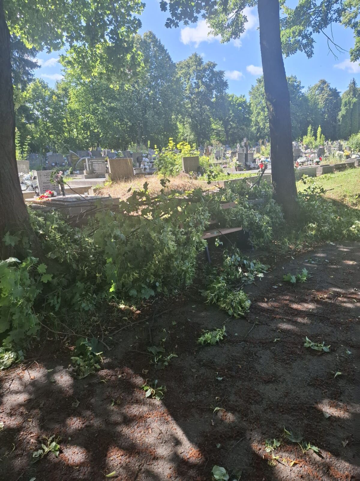 cintorín hroby stromy búrka