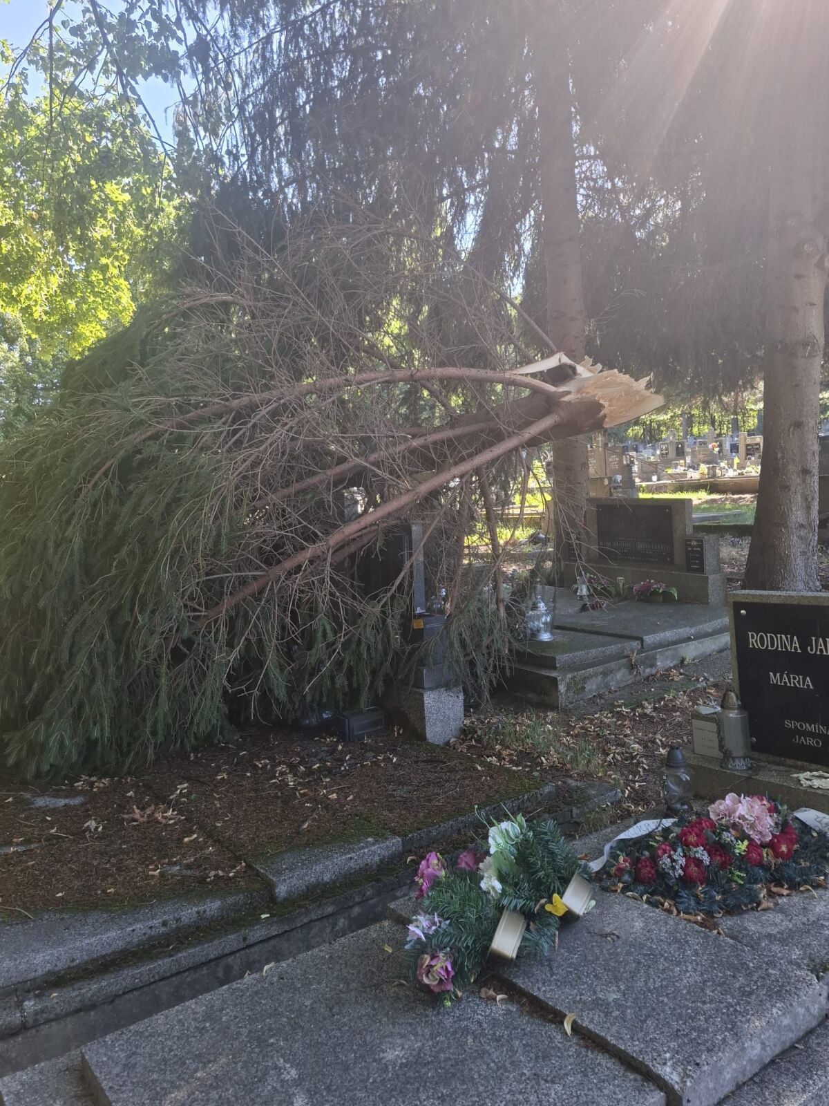 cintorín hroby stromy búrka