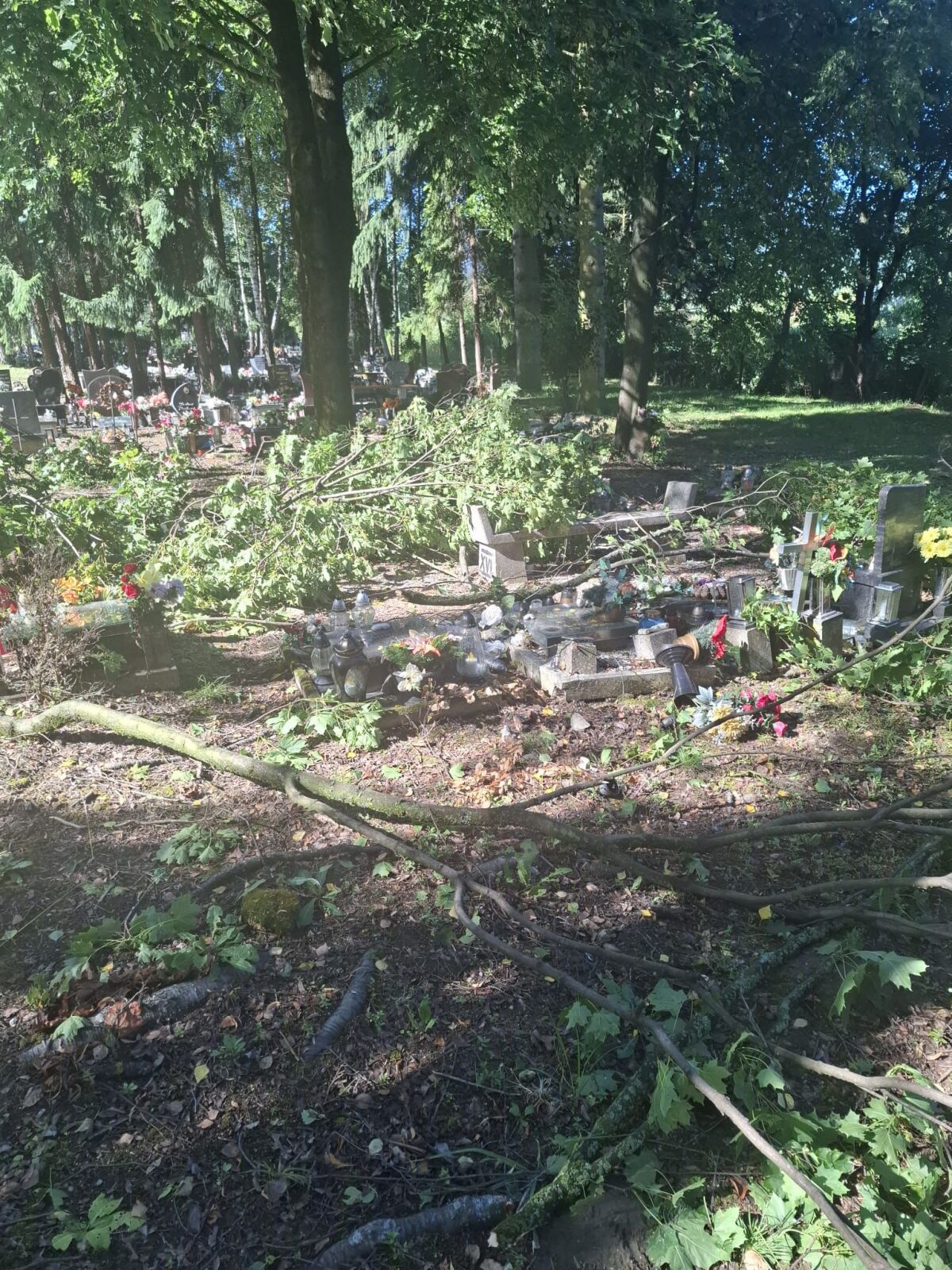cintorín hroby stromy búrka