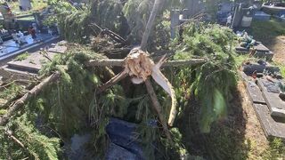 Počas búrok sú mestské stromy hrozbou. Žilina ročne investuje 800-tisíc eur do údržby, no riziko nezmizne