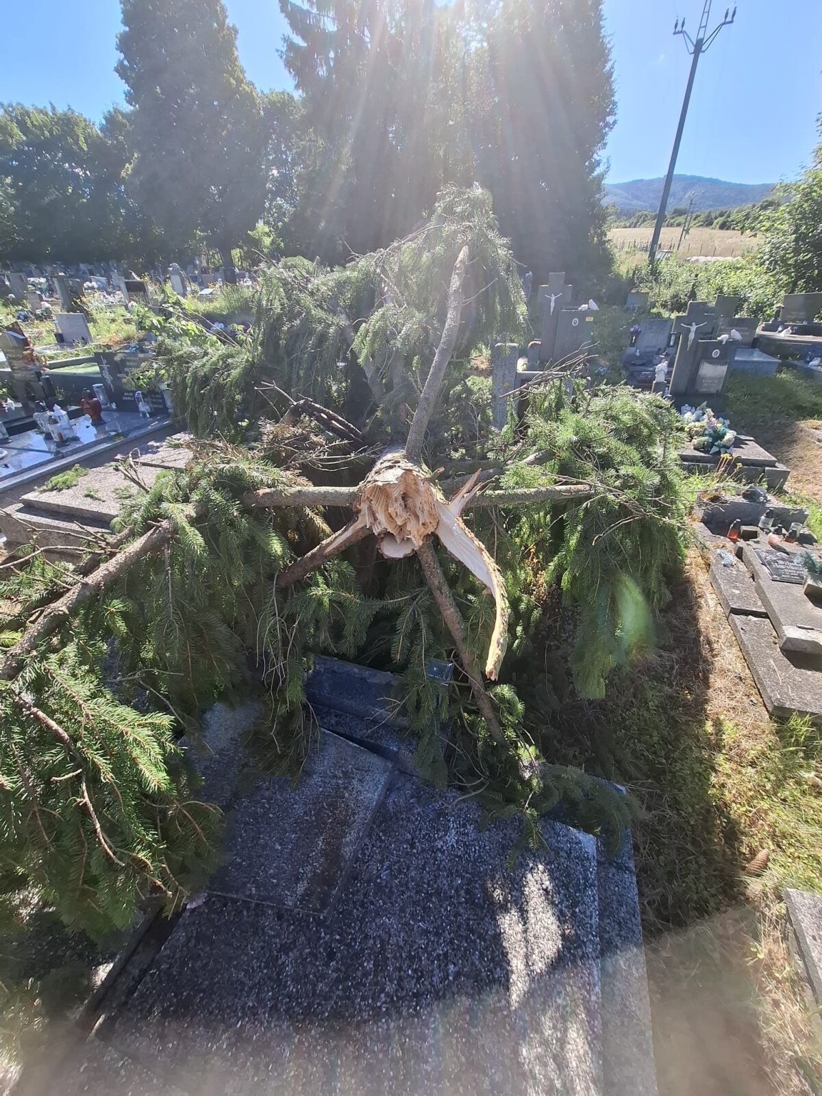 cintorín hroby stromy búrka