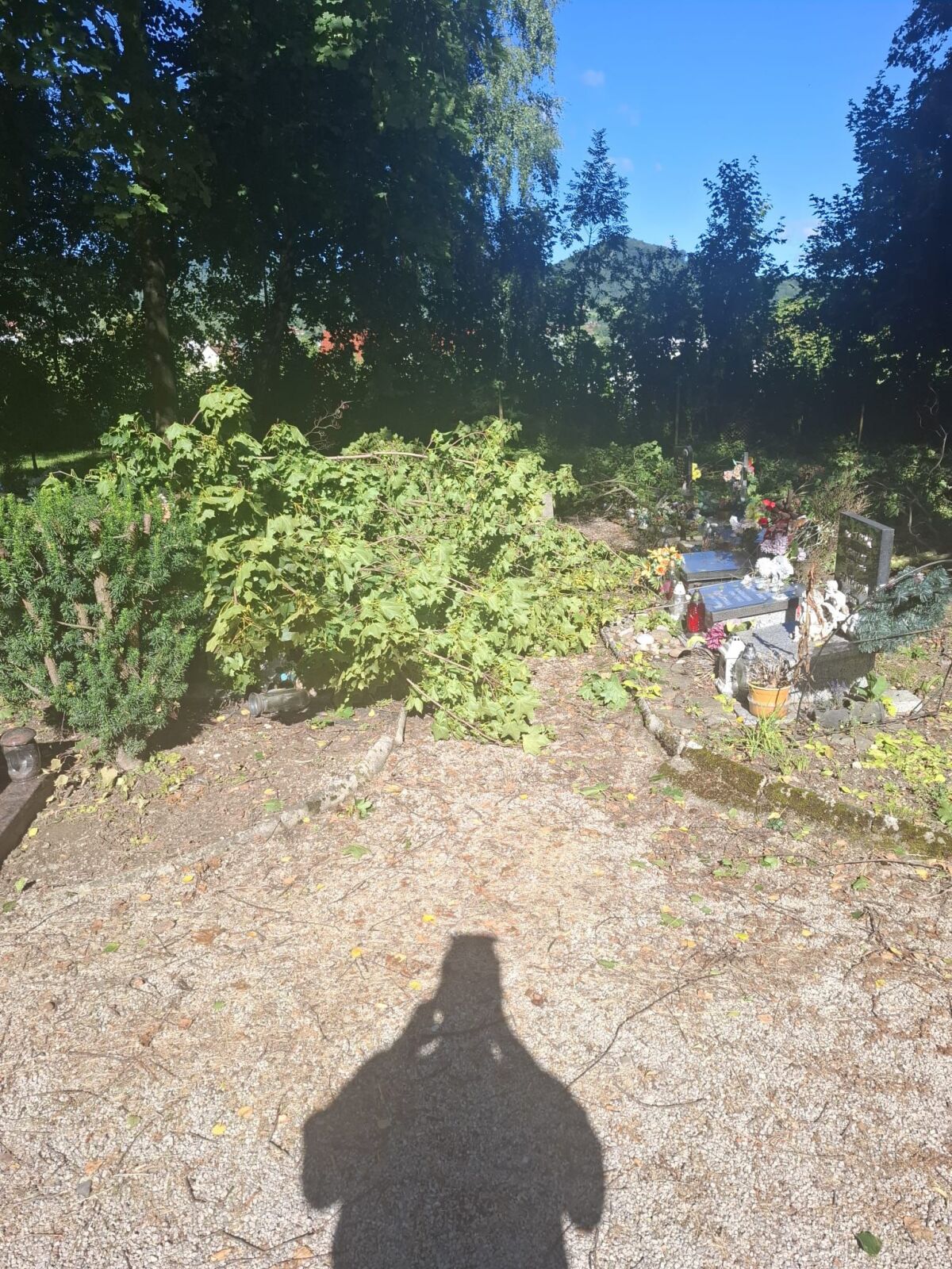 cintorín hroby stromy búrka