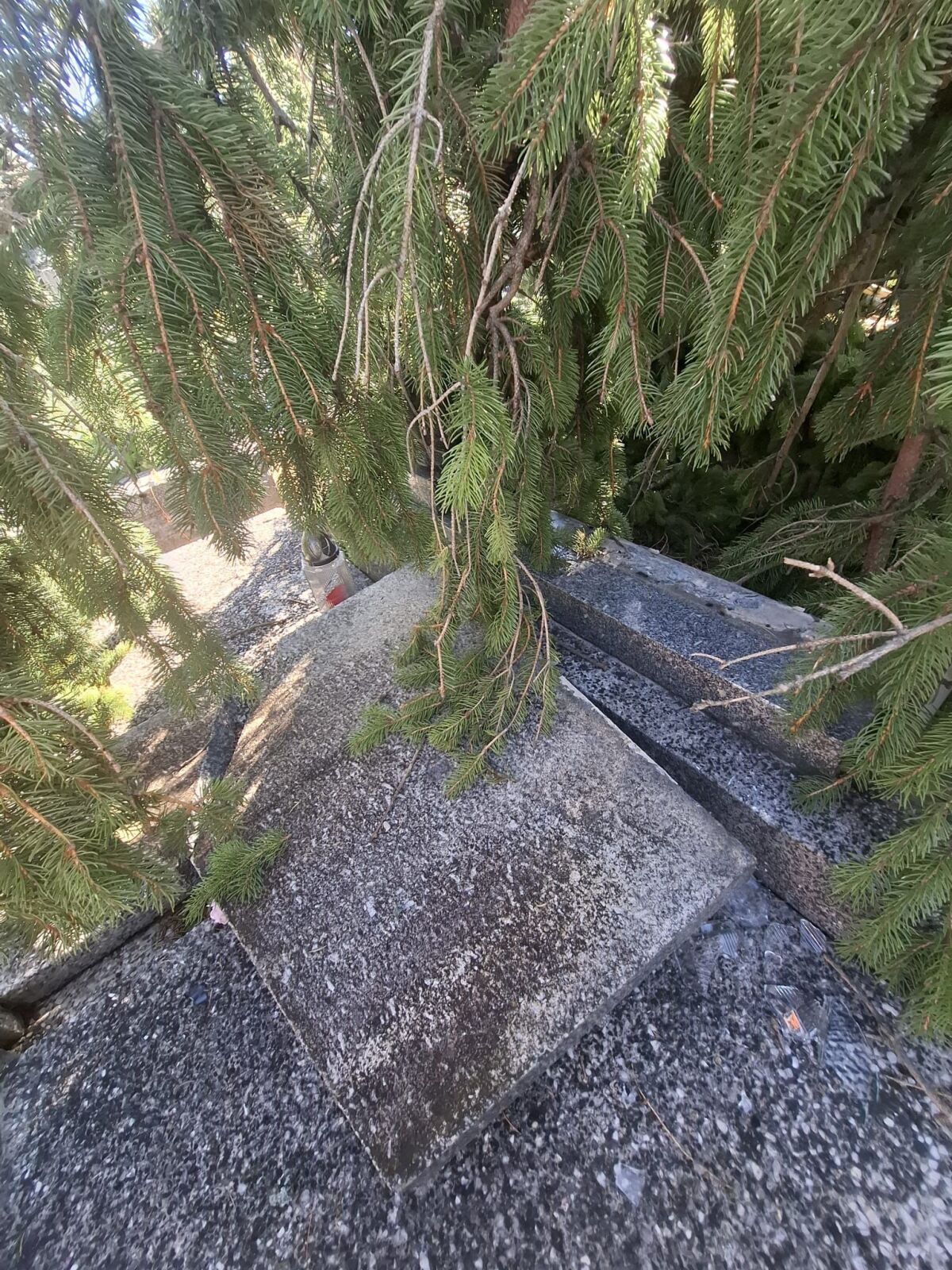 cintorín hroby stromy búrka