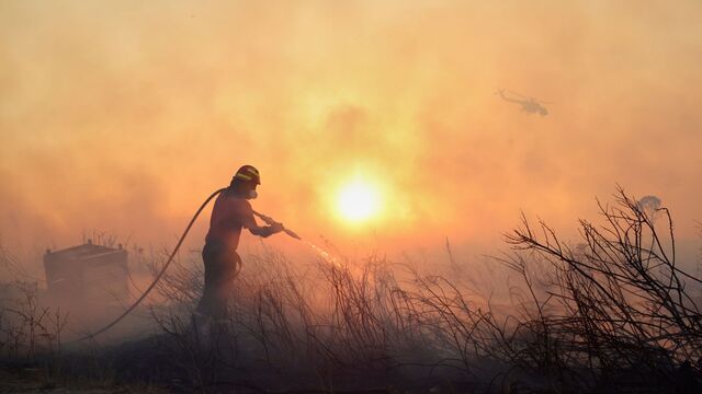 grecko lesne poziare