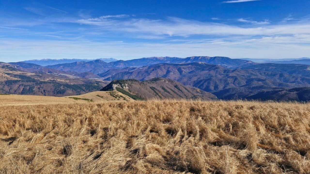 thumbnail_Ostredok (Miso Gubis) (1).jpg