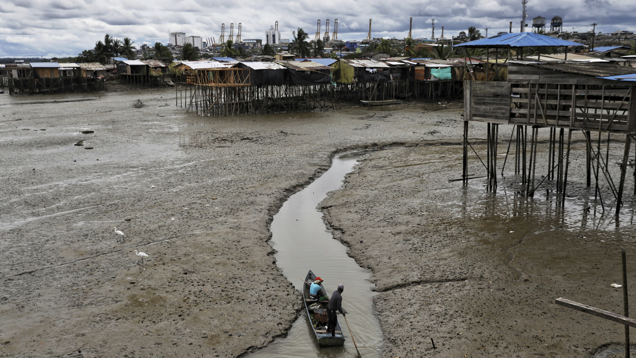 Zemetrasenie, cunami