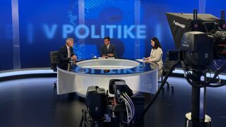 V politike, Gašpar, Mesterová