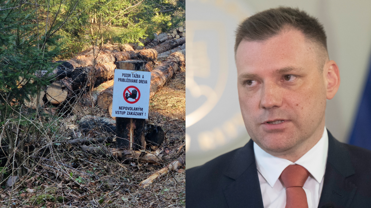 canva_Taraba x ťažba