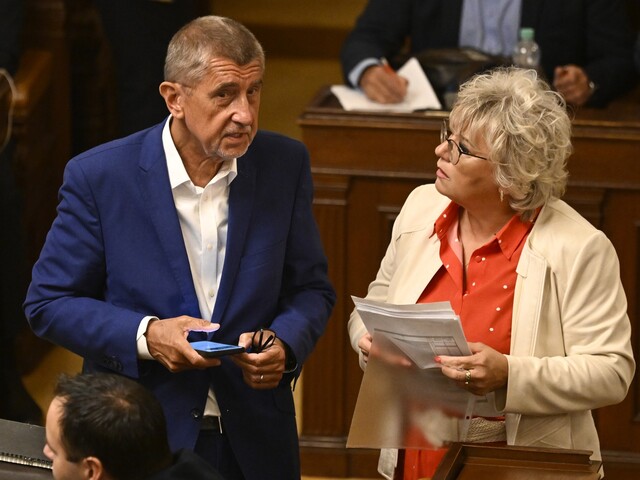Babišova tieňová ministerka z ANO končí po kauze s údajnou objednávkou zabitia psa. Nechcem poškodiť hnutie, povedala