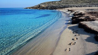 Aha, pláva smažené vajíčko. Turistov na Malorke zaskočil úkaz, ktorý tam nemá čo robiť