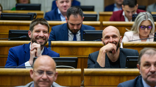 Dva augustové prieskumy, dva rôzne výsledky. PS ostáva lídrom, Smer rastie, o tretie miesto sa bojuje