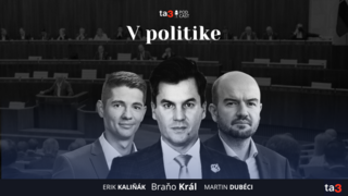 Podcast V politike.png