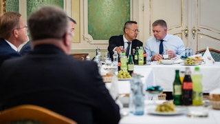 Kamenický chce predstaviť konsolidáciu už o pár dní. Politológ hovorí o pomalom tempe a „prihrievaní polievočky“