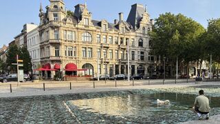 Belgicko Antverpy fontána horúčavy počasie pes venčenie