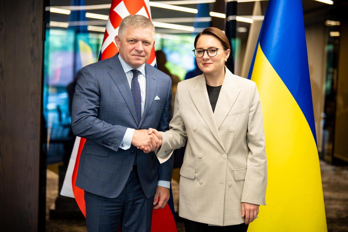 WhatsApp Image 2025-09-05 at 17.54.08.jpeg