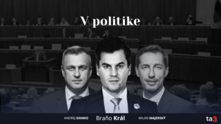 Podcast V politike.png