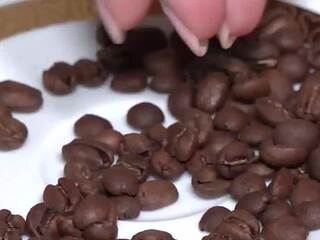 kava