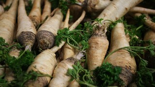 Nočná mora poľských farmárov. Namiesto koreňa narástla vňať, v hre sú milióny a stopa vedie do Česka